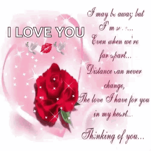 a greeting card with a red rose and a heart that says `` i love you '' .