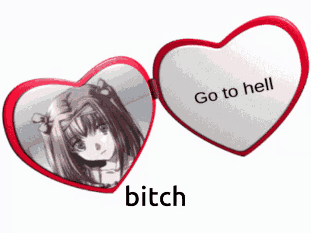 a heart shaped mirror with a picture of a girl and the words go to hell and bitch