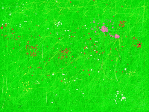 Flower Meadow GIF - Flower Meadow GIFs