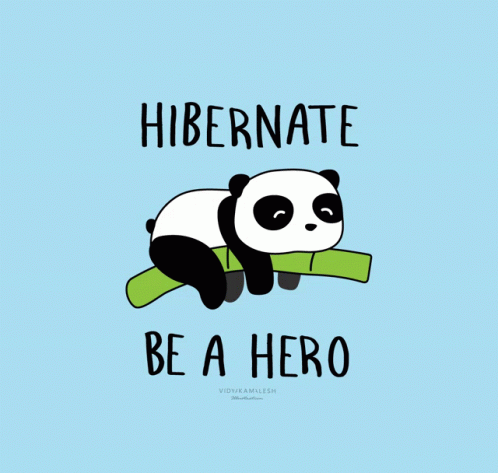 Hibernate Hibernation GIF - Hibernate Hibernation Panda GIFs