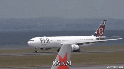 Kai Kai Fiji Air Ways GIF