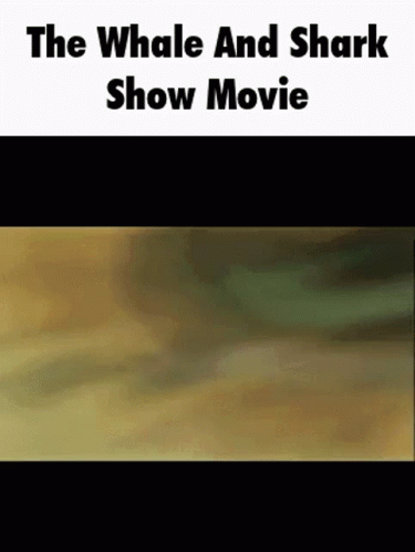 The Whale And Shark Show Movie Whale And Shark Movie GIF - The Whale And Shark Show Movie Whale And Shark Movie The Whale And Shark Show GIFs
