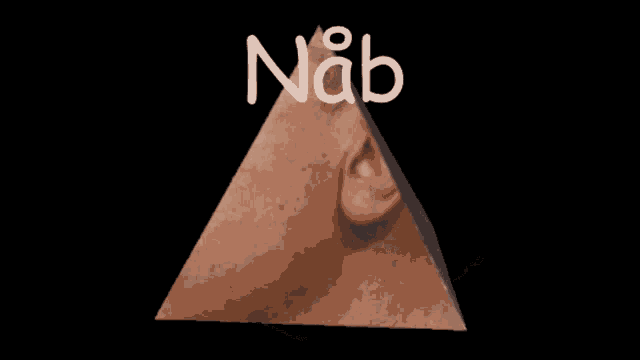 a pyramid with barack obama 's face on it and the word nab above it