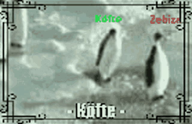 a picture of two penguins with the words " kofte " on the bottom right