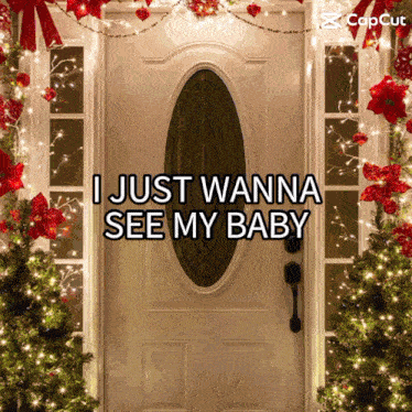 a door with christmas decorations and the words i just wanna see my baby on it