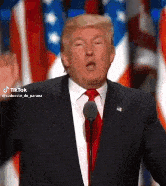 We Will Make America Great Again Donald Trump GIF - We Will Make America Great Again Donald Trump President2024 GIFs