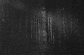 it is a black and white photo of a person in a dark forest .