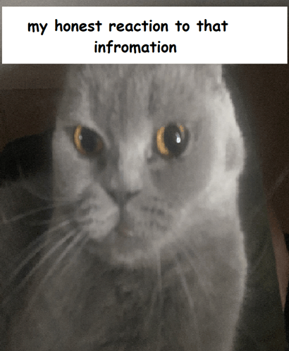 My Honest Reaction To That Information GIF - My Honest Reaction To That Information GIFs