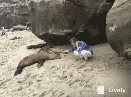 Rejected Fail GIF - Rejected Fail Animals GIFs