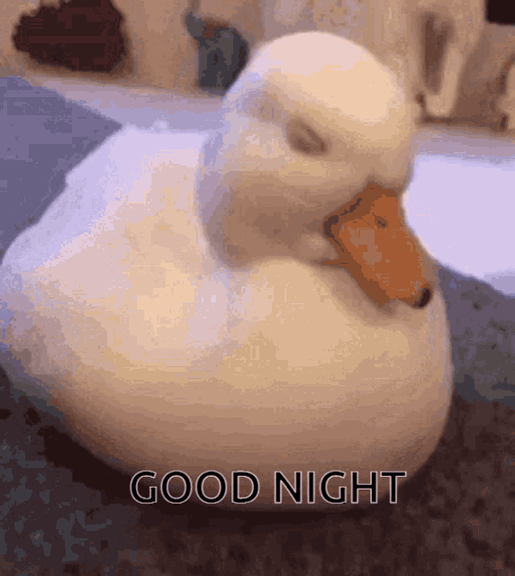 Sleepy Duck Good Night Duck GIF - Sleepy Duck Good Night Duck GIFs
