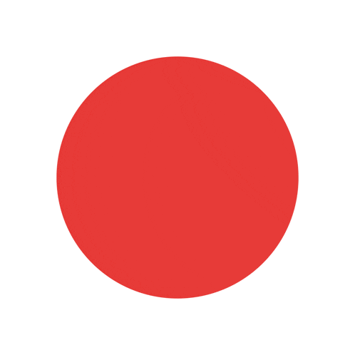 a circle with a red circle in the center