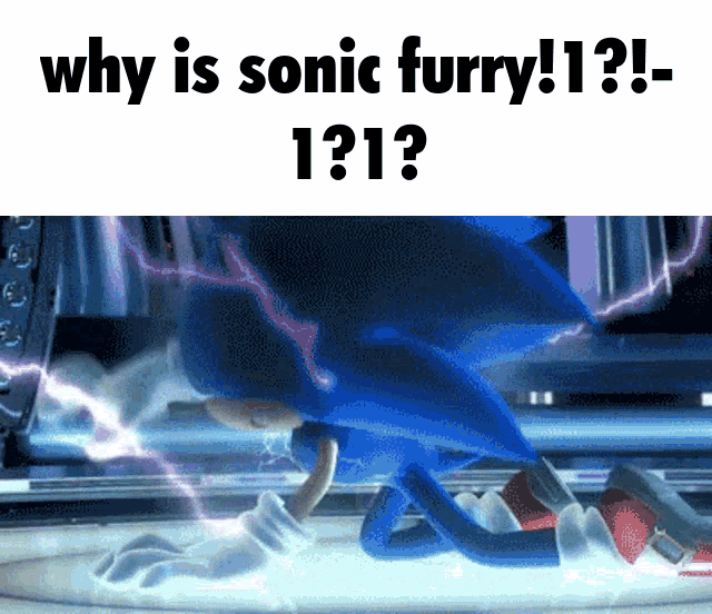 a picture of sonic the hedgehog with the caption why is sonic furry ! 1 ?