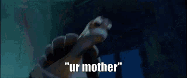 a cartoon turtle says " ur mother " in front of a large light