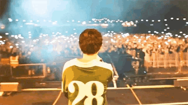 a man wearing a green shirt with the number 28 on it is standing on a stage looking at the crowd .