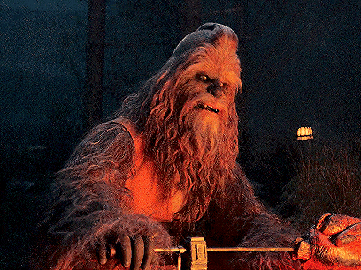 a chewbacca is sitting in front of a fire in the woods