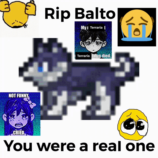 a poster that says rip balto you were a real one on it