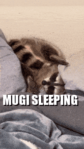 a dog is sleeping on a bed with the words mugi sleeping written on the bottom .