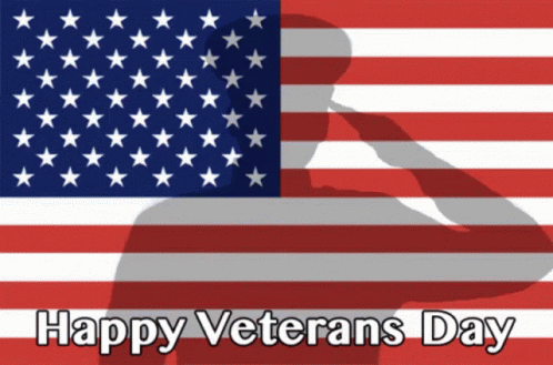 Happy Veterans Day Salute GIF