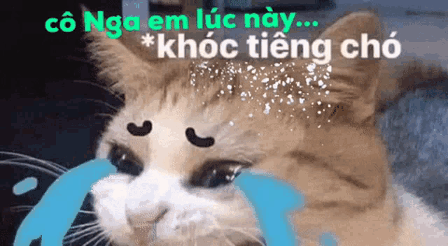 a cat is crying with tears coming out of its eyes and mouth .