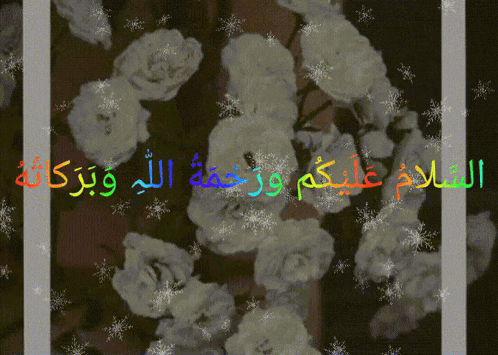 a bunch of white flowers with arabic writing in the background