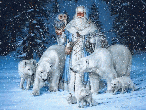 Santa Clause Bears GIF - Santa Clause Bears Polar Bear GIFs