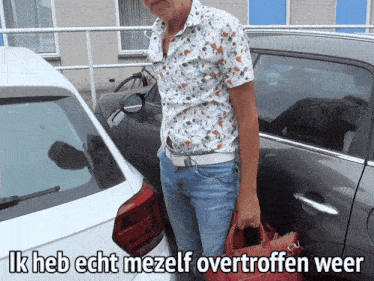 Chateau Meiland Martien Meiland GIF