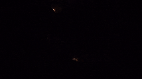 a cave with the words creative shrimp written on the bottom