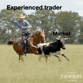 Experienced Trader Trading GIF - Experienced Trader Trading GIFs