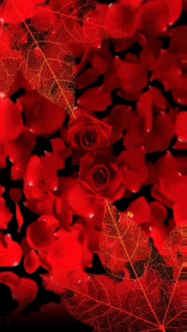 a sign that says you 're welcome with a red flower