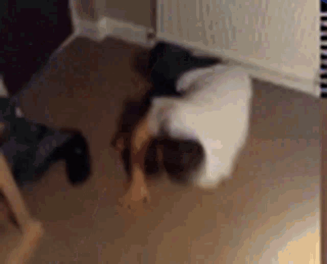 a blurry picture of a man laying on the floor .