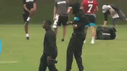 Carolina Panthers Dance GIF - Carolina Panthers Dance Football GIFs