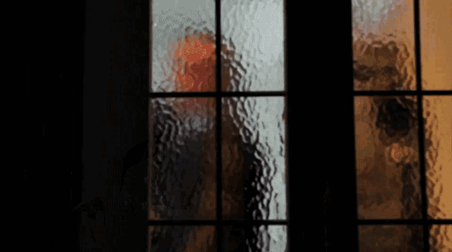 a person standing behind a glass door with a reflection of another person
