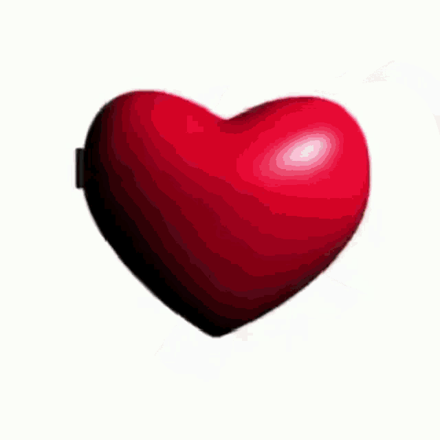a heart shaped box with a message inside that says `` suprise , fucker '' .