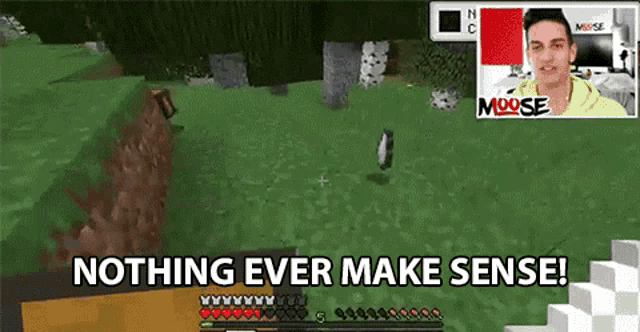 a man in a green hoodie is playing a video game with the words nothing ever make sense .