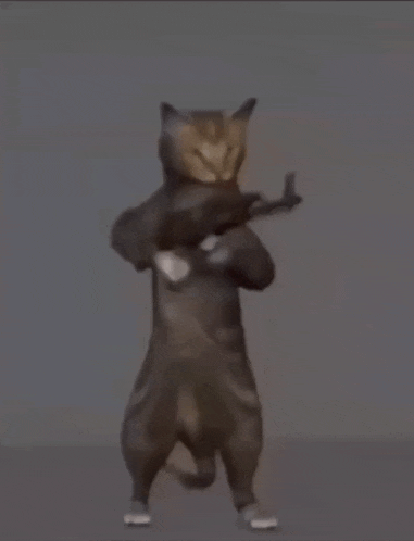 Cat Ak47 Gun Go Brrrr Feline Weaponry GIF - Cat Ak47 Gun Go Brrrr Feline Weaponry Animal Gun GIFs