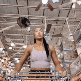 a woman pushing a shopping cart in a store with hampton ceiling fans
