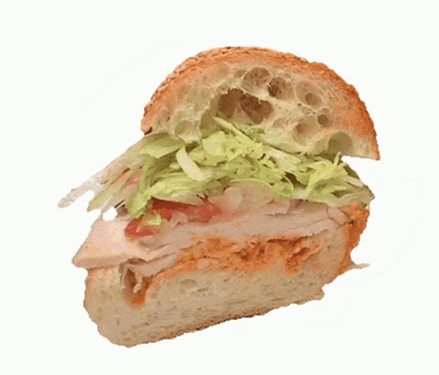 a close up of a sandwich with lettuce tomato and onions on a sesame seed bun