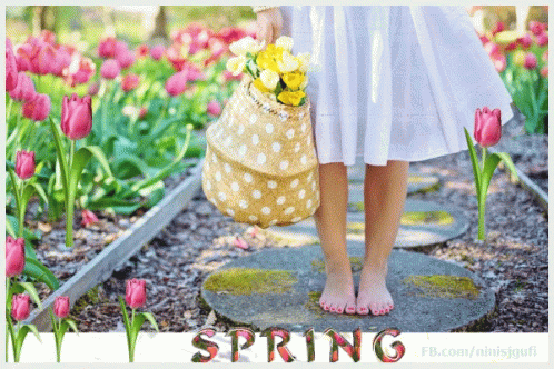 Spring March GIF - Spring March March1 GIFs