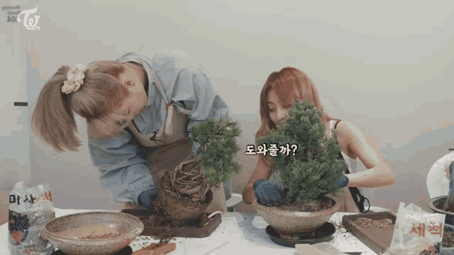 Twice Tv Home Gardening GIF - Twice Tv Home Gardening Jeongyeon GIFs