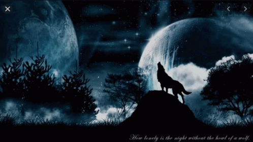 Black Wolf Howling GIF - Black Wolf Howling GIFs