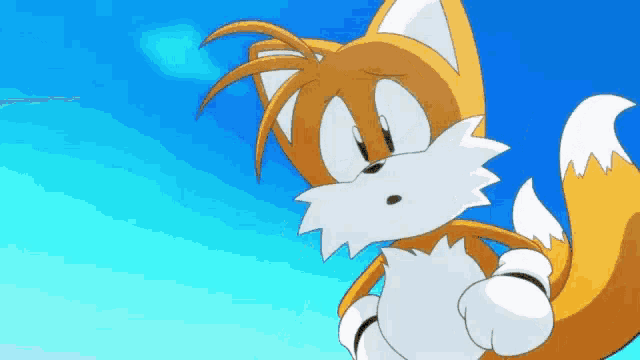 tails from sonic the hedgehog is a fox with a long tail and a blue sky in the background .