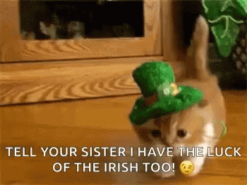 Kitten St Patricks Day GIF - Kitten St Patricks Day Luck GIFs