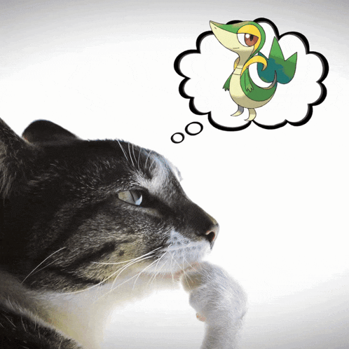 a cat is thinking about a snake in a thought bubble above it