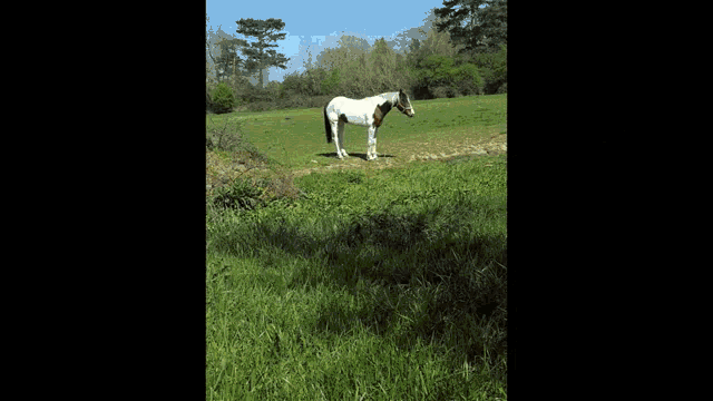 a white horse is standing in a grassy field with a fireball in the background