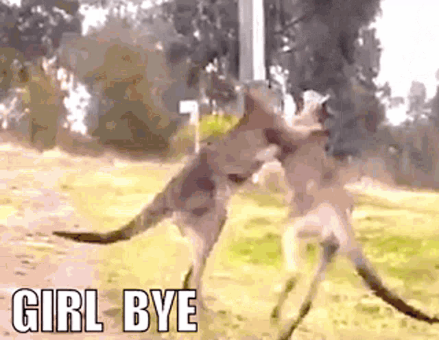 Girl Bye Bye Felicia GIF - Girl Bye Bye Felicia Get Out Of Here GIFs