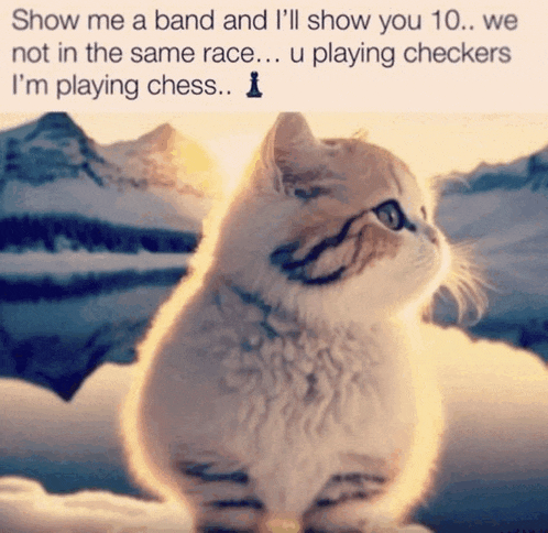 a picture of a cat with a caption saying show me a band and i 'll show you 10