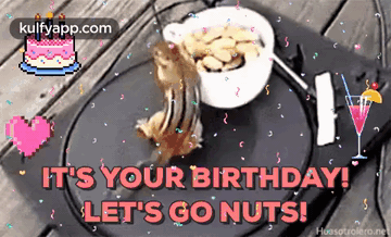Its Your Birthday Lets Go Nuts.Gif GIF - Its Your Birthday Lets Go Nuts Happybirthday Wishes GIFs