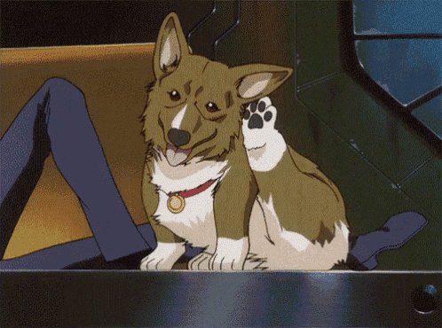 a brown and white dog with a medal around its neck is sitting next to a person 's leg
