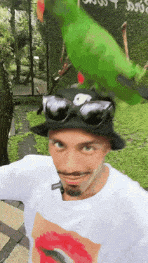 a man wearing sunglasses and a hat with a green parrot on top of his head