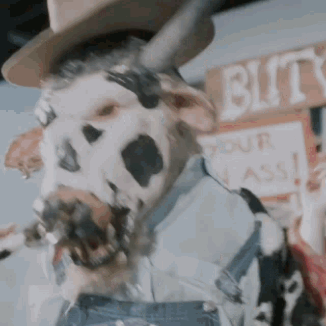 a cow is wearing overalls and a cowboy hat in front of a sign that says bit your ass